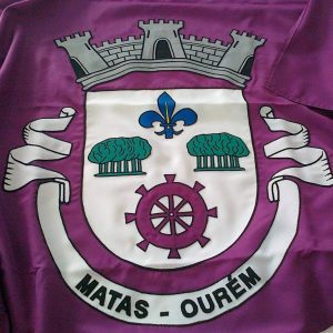 bdr bandeiras e mastros bandeiras oficiais arte aplicada