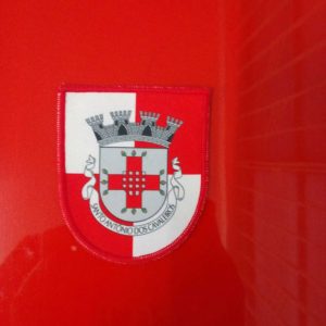 bdr-bandeiras-e-mastros-emblemas