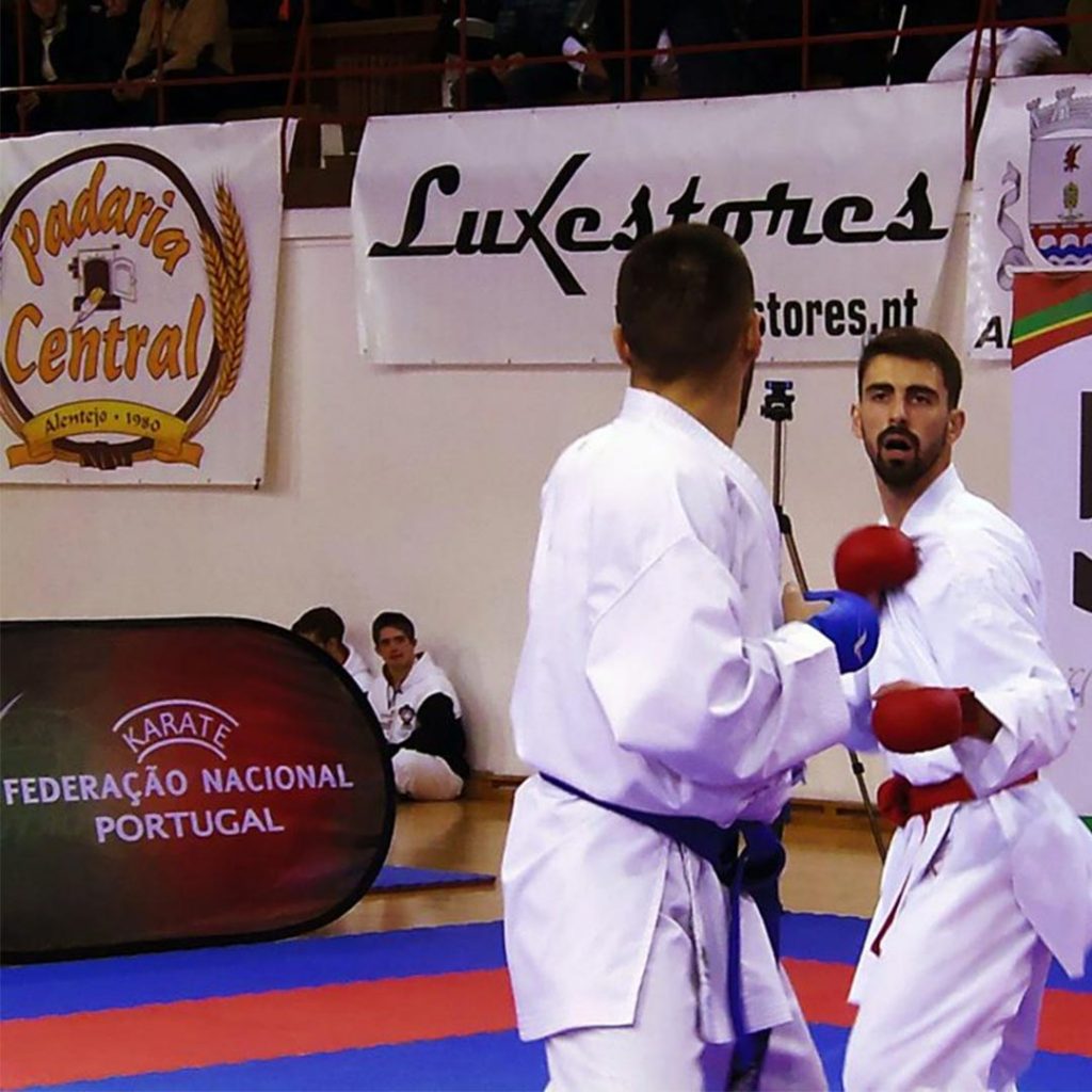 federacao-nacional-de-karate-portugal-bdr-bandeiras-e-mastros
